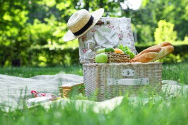 Piknik sepeti ve açık havada nefis yemekler.