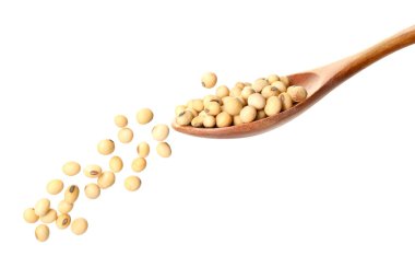 Soya fasulyeli kaşık beyaz üzerine izole