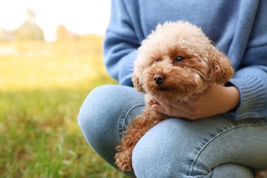 Dışarıda sevimli köpekli bir kadın, yakın plan. Metin için boşluk