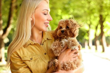 Parkta sevimli bir köpeği olan güzel genç bir kadın.