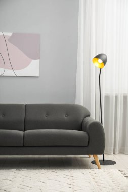 Oturma odasında rahat bir kanepe. İç tasarım