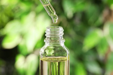 Pipetten şişeye damlayan temel yağ bulanık yeşil arka planda, yakın plan