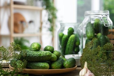 Taze salatalık, dereotu ve sarımsak, yakın plan. Turşu hazırlama