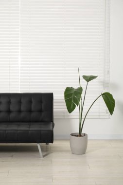 Kapalı alandaki ışık duvarının yanındaki rahat kanepe. İç tasarım