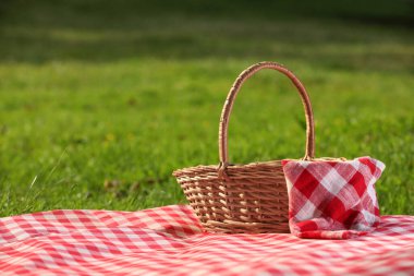 Yeşil çimlerin üzerinde kareli peçete ve battaniyeli bir piknik sepeti. Metin için boşluk