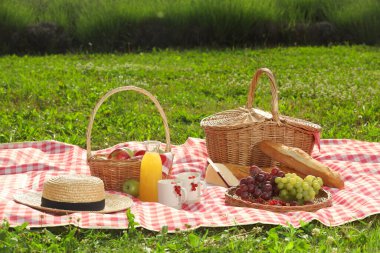 Piknik sepeti, farklı atıştırmalıklar, meyve suyu ve hasır şapka açık havada kırmızı kareli battaniye