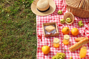Piknik sepeti, farklı atıştırmalıklar, meyve suyu ve yeşil çimlerin üzerinde şapka, mesaj için yer