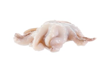 Bir taze çiğ bebek ahtapot beyaza izole edilmiş. Deniz yiyeceği