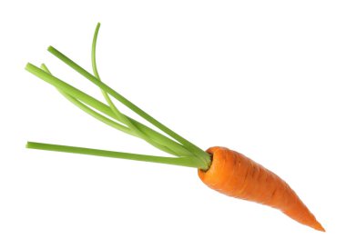 Taze olgun bir havuç beyazda izole edilmiş.