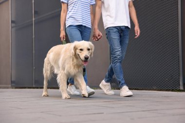 Tatlı Golden Retriever köpeğiyle gezen çift, yakın plan.