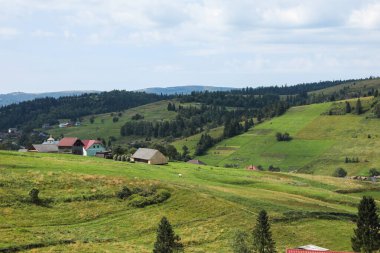 Mavi gökyüzünün altındaki ormanların güzel manzarası.