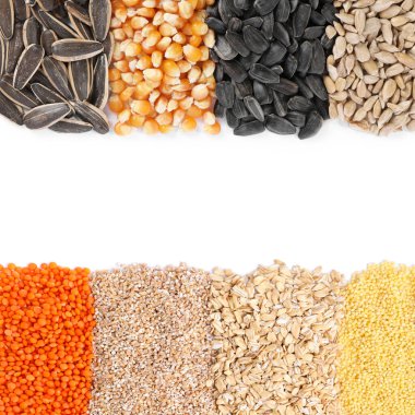 Farklı tahıl taneleri, beyaz arka planda tohumlar ve fasulyeler, üst manzara. Koleksiyon