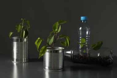 Geri dönüşüm konsepti. Gri masada büyüyen bitkilerle metal kutular ve plastik şişeler.