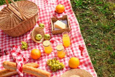Piknik sepeti, farklı atıştırmalıklar, meyve suyu ve yeşil çimlerin üzerinde şapka.