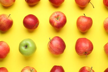Sarı arkaplanda kırmızı elmalarla çevrili düz kompozisyon.