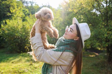 Güneşli bir günde sonbahar parkında sevimli köpekli bir kadın.