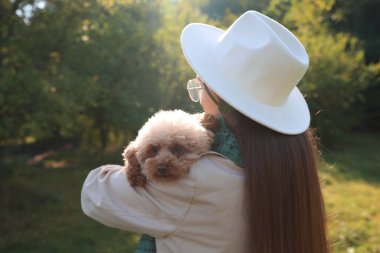 Güneşli bir günde, sonbahar parkında sevimli köpekli bir kadın.