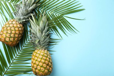 Açık mavi arka planda taze ananas ve palmiye yaprakları, üst manzara. Metin için boşluk