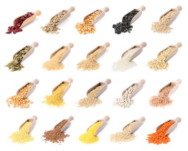 Farklı tahıl taneleri, tohumlar ve fasulyeler beyaz arka planda ahşap kepçeler, koleksiyon