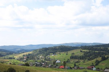 Mavi gökyüzünün altındaki ormanların güzel manzarası.