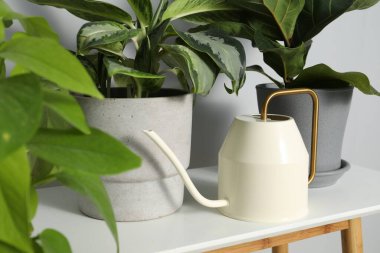 Sulama kabı ve güzel bitkiler beyaz masa içinde.