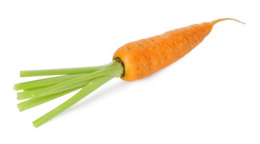 Taze olgun bir havuç beyazda izole edilmiş.