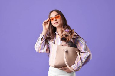 Güzel genç bir kadın, menekşe arka planında sevimli Yorkshire Terrier köpeği taşıyor.