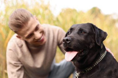 Gülümseyen sahibi olan sevimli bir köpek portresi, seçici bir odak noktası.