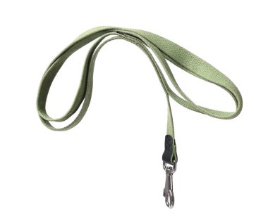 Bir zeytin köpek tasması beyaza izole edilmiş.