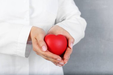 Doktor gri arka planda kırmızı kalbi tutuyor, yakın plan. Metin için boşluk