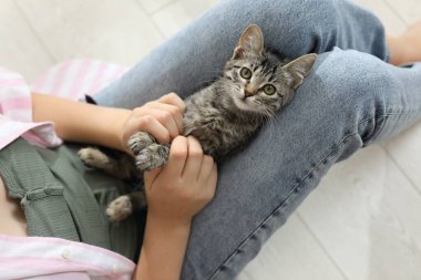 Güzel kedisi olan genç bir kız. Evin içinde, manzarası çok güzel.