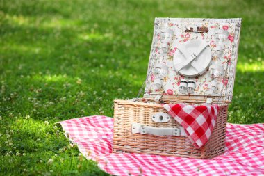 Yeşil çimlerin üzerinde kareli peçete, sofra takımı ve battaniye olan bir piknik sepeti. Metin için boşluk