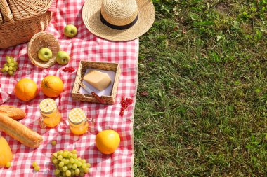 Piknik sepeti, farklı atıştırmalıklar, meyve suyu ve yeşil çimlerin üzerinde şapka, mesaj için yer