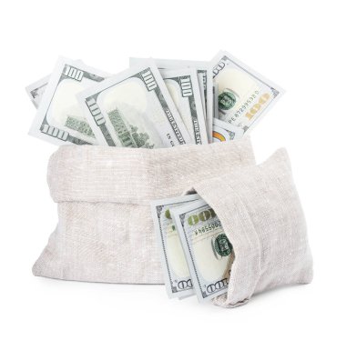 Beyaz torbalarda izole edilmiş dolar banknotları