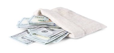 Çantadaki dolar banknotları beyaza izole edilmiş.