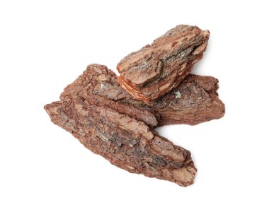 Ağaç kabuğu parçaları beyaz arkaplanda, görünümün üzerinde