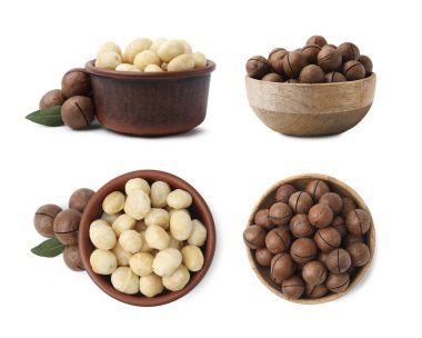 Beyaz, üstten ve yandan izole edilmiş kaselerde Macadamia fındıkları.