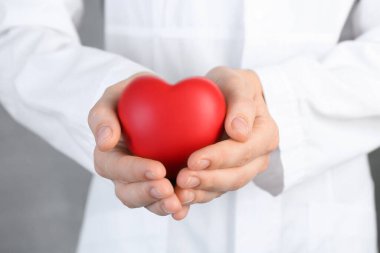 Gri arka planda kırmızı kalbi tutan doktor, yakın plan.