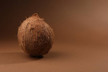 One whole coconut in shell on brown background, space for text clipart