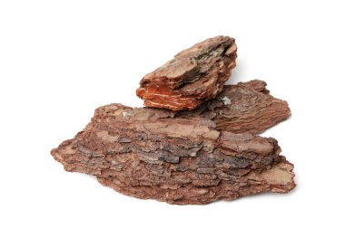 Beyaz arkaplanda ağaç kabuğu parçaları