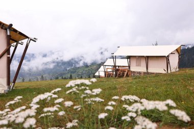 Dağlarda sisle kaplı bir sürü çadır ve orman var. Glamping alanı