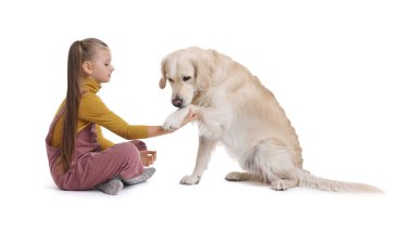 Beyaz arka planda sevimli Golden Retriever köpeği olan kız.