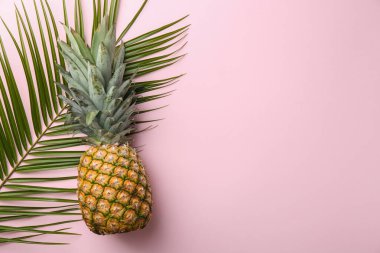 Pembe arka planda taze ananas ve palmiye yaprağı. Metin için boşluk