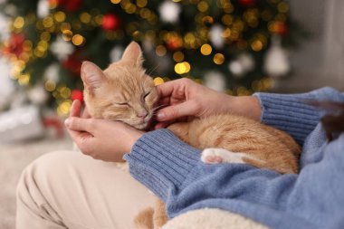 Hoş kızıl kedisi olan bir kadın kapalı alanda bulanık Noel ışıklarına karşı, yakın plan.