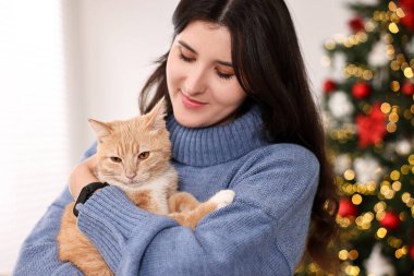 Hoş kızıl kedili kadın Noel için dekore edilmiş odada.