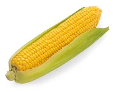 Beyaz kabuklu mısır koçanı.