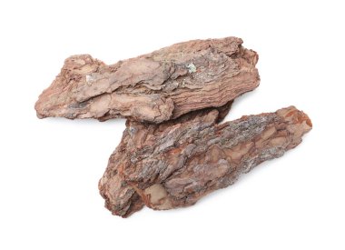 Beyaz arkaplanda ağaç kabuğu parçaları, üst görünüm