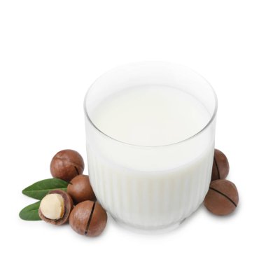 Beyaz üzerine izole edilmiş bir bardak Macadamia sütü ve fındık.