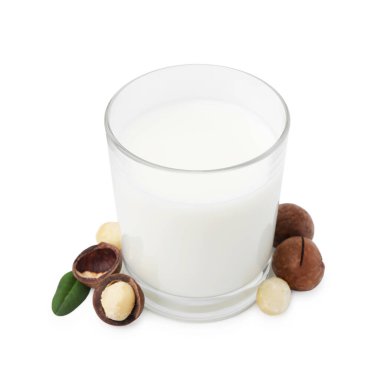 Beyaz üzerine izole edilmiş bir bardak Macadamia sütü ve fındık.