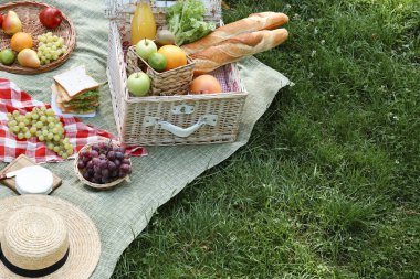 Açık hava battaniyesinde lezzetli yiyecek ve içeceklerle piknik sepeti, mesaj için yer.